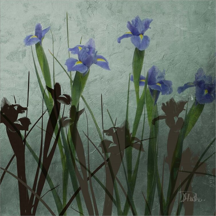 blue iris 5 download